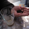 guinness8small
