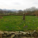 Springtime in Donegal