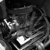 img_0008web