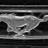 img_0012web