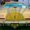 img_0014web