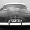 img_0021web