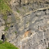 cliffs-4web