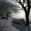 snow015small